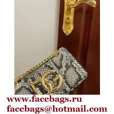 Dolce  &  Gabbana Calfskin 3.5 Chain phone bag Python Print
